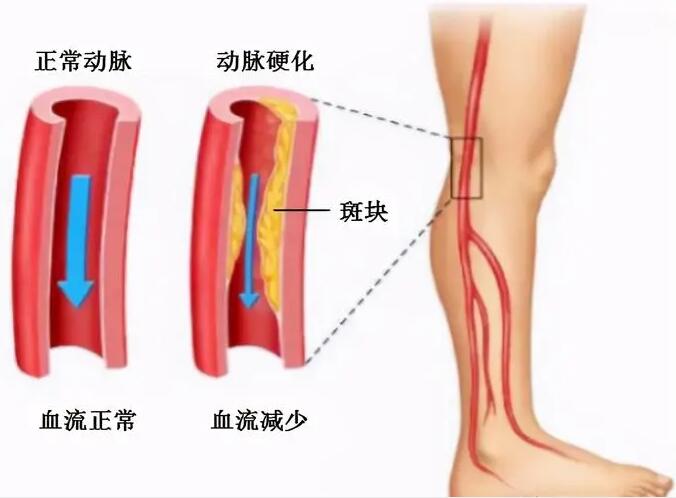 m.htjmqz.cn