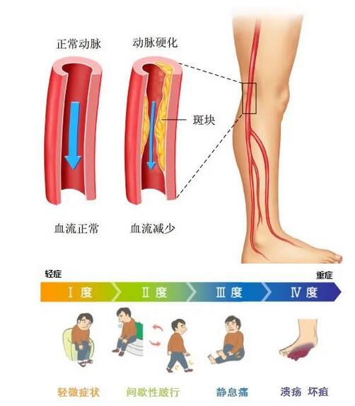 www.htjmqz.cn