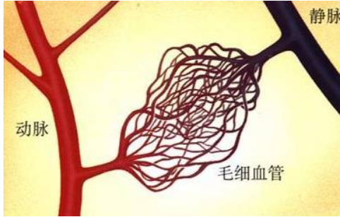 微信图片_20240402101657