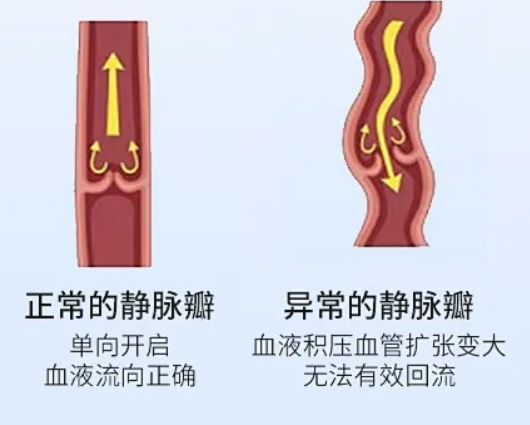 微信图片_20240513140908