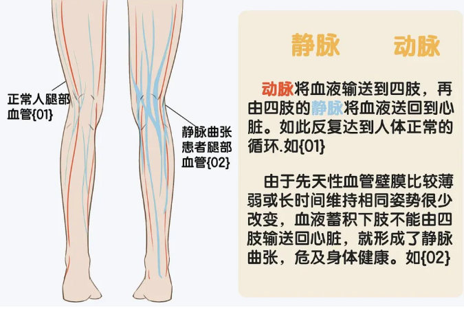微信图片_20240802151822