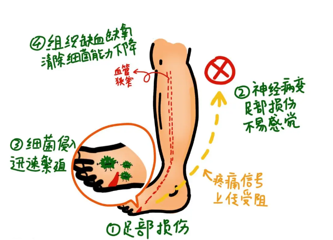 微信图片_20250204135629